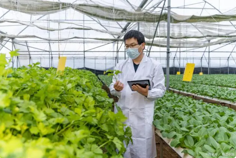 QQ截圖20231122150133