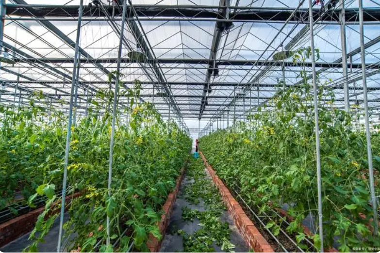 QQ截圖20231122150146